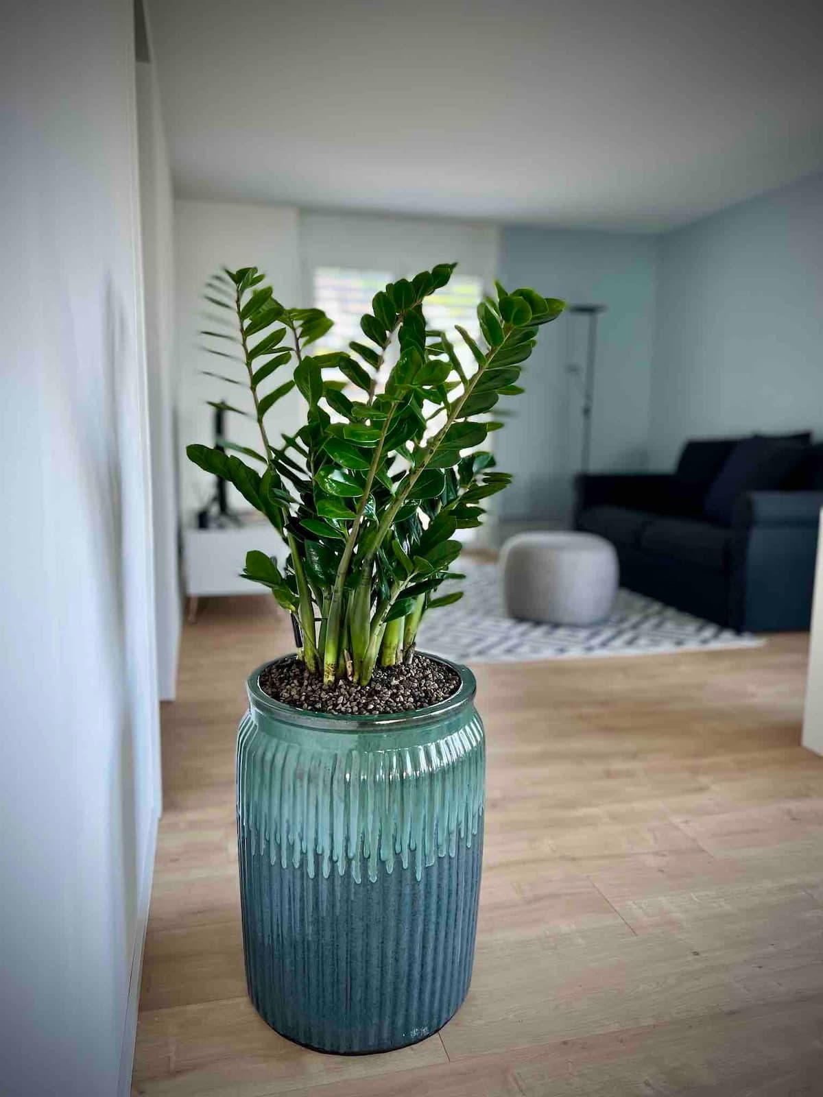 Top Wohnung für Aktiv-Urlauber - 80m zum See