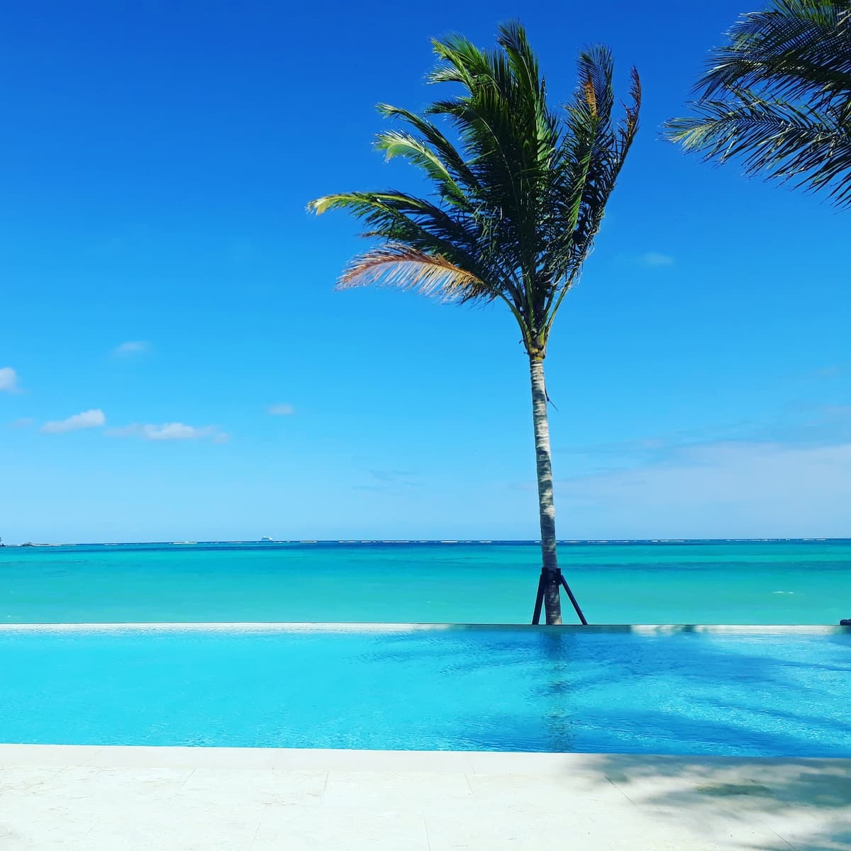 Studio / 1 Zimmer in Bahamas, Nassau