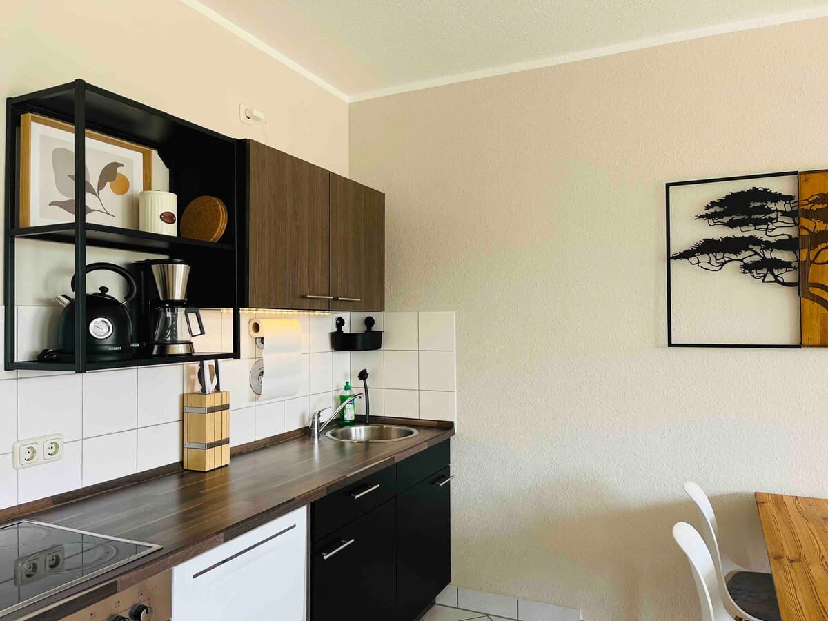 Modernes Apartment fußläufig zur Uniklinik Dresden