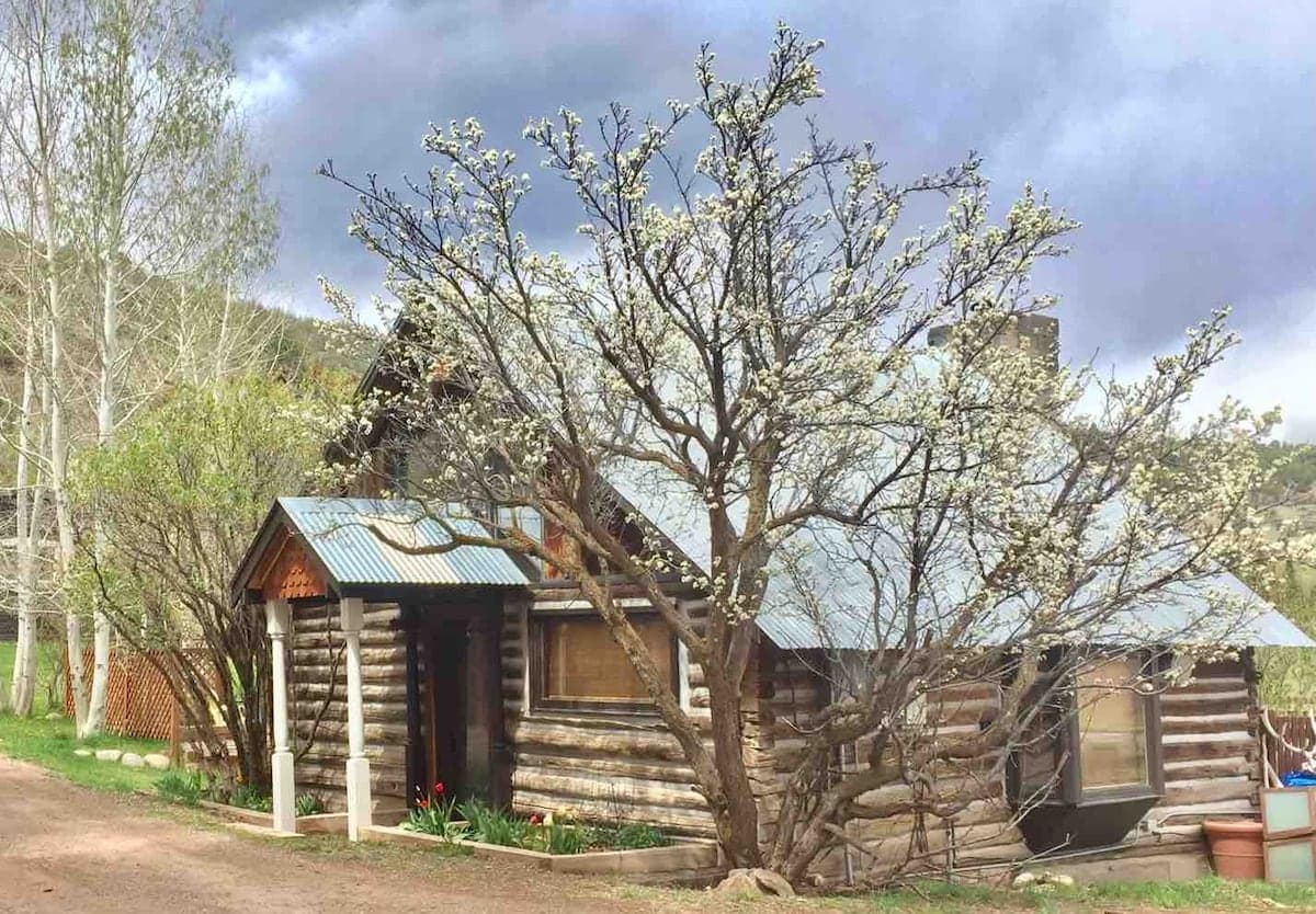 Estudio / 1 hab. en Colorado, Basalt