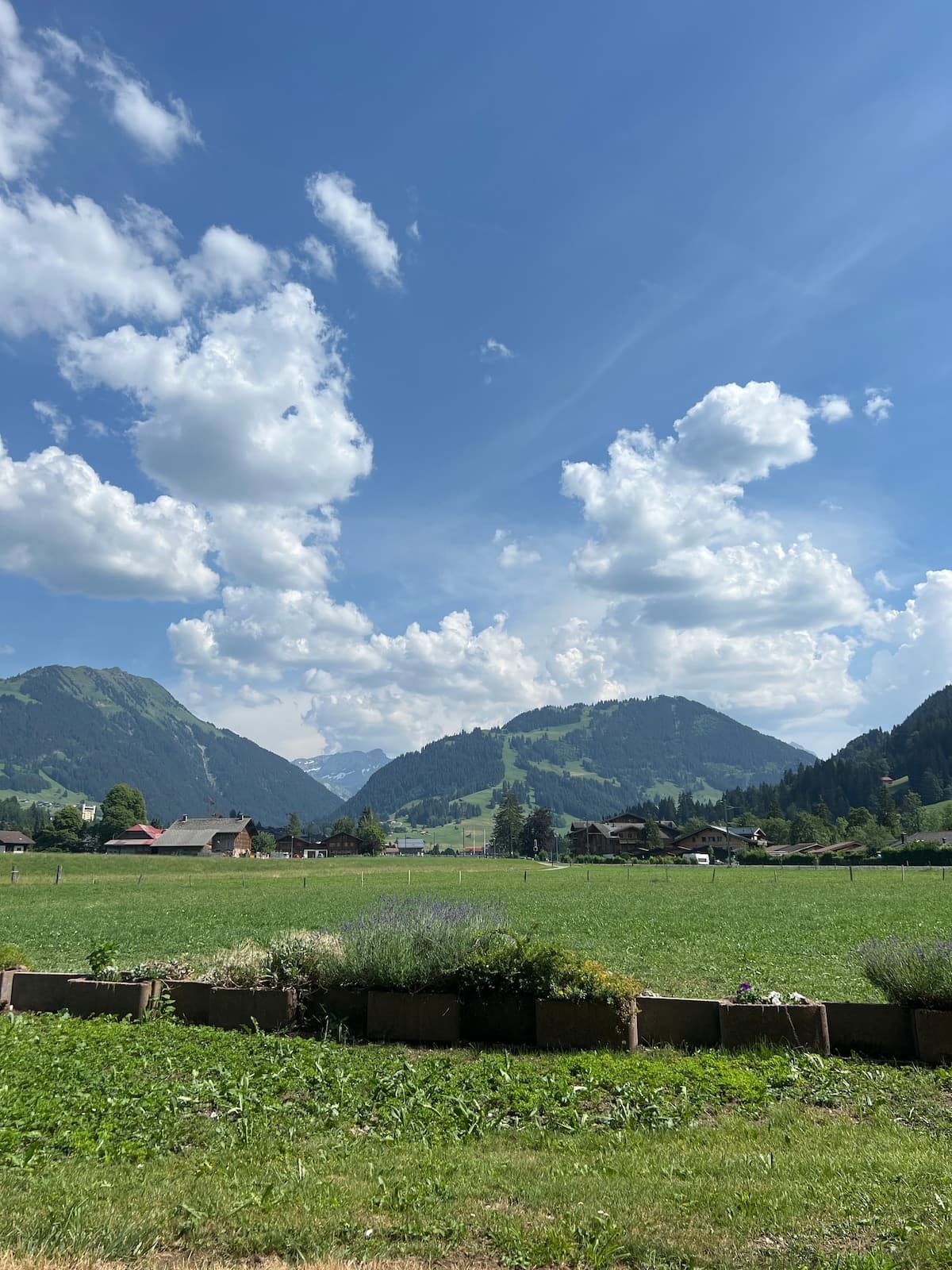 1.5 Zimmer in Bern, Saanen